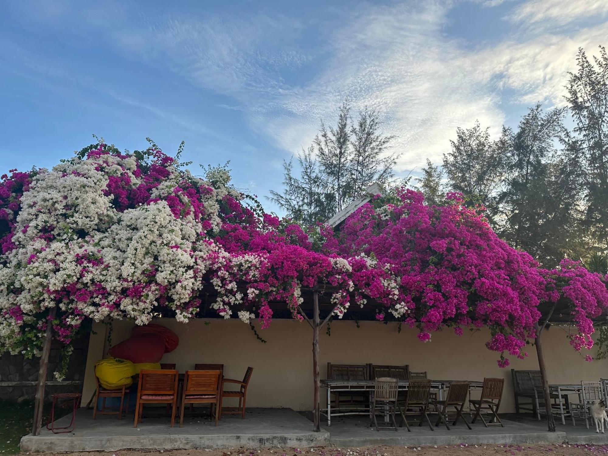 Orchid Boutique Beach Resort Фантхьєт Екстер'єр фото