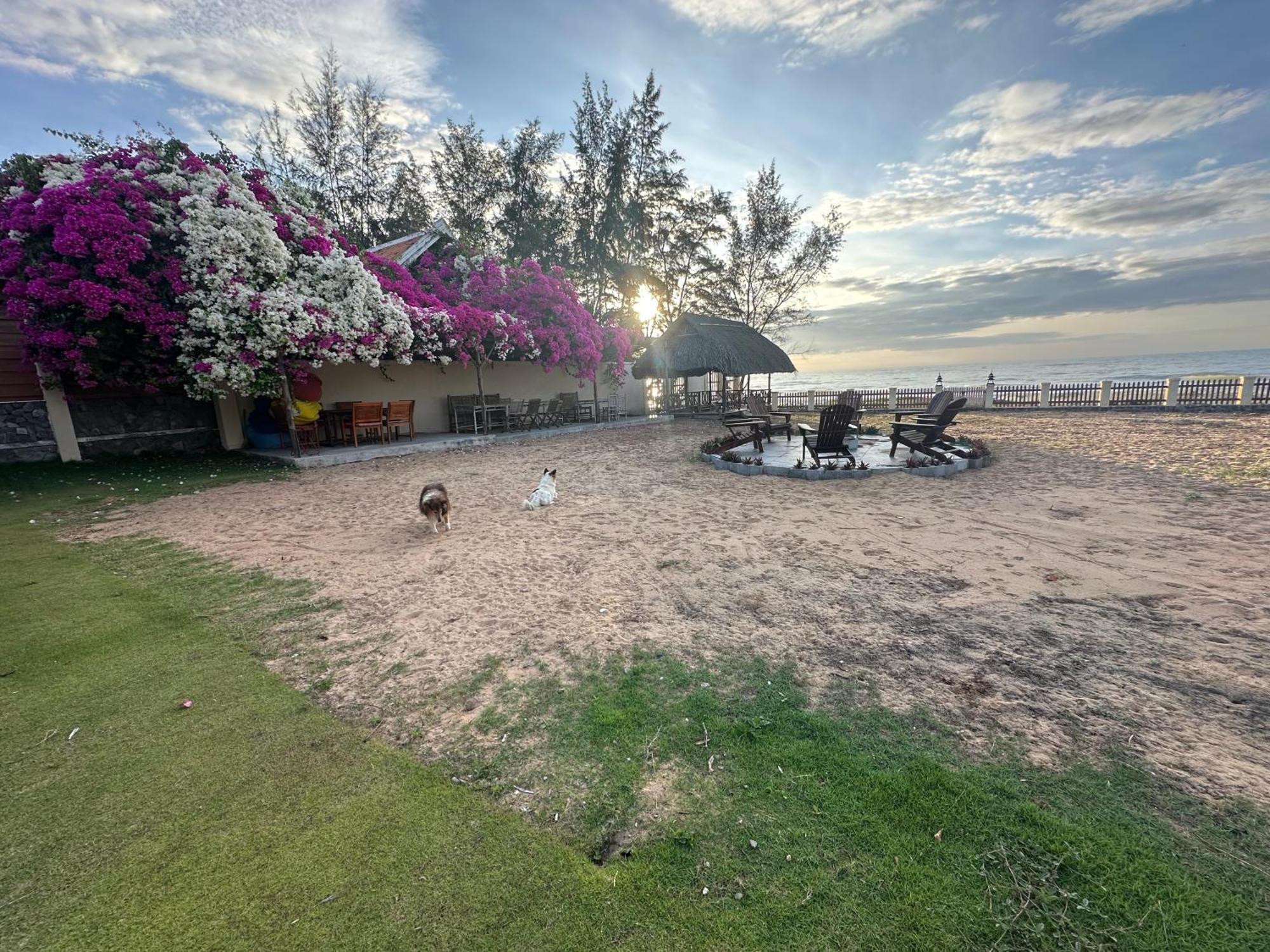 Orchid Boutique Beach Resort Фантхьєт Екстер'єр фото